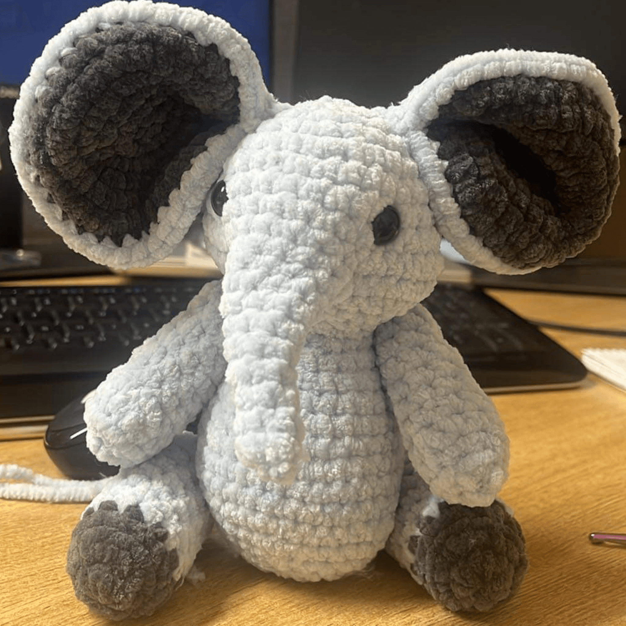 Elephant image