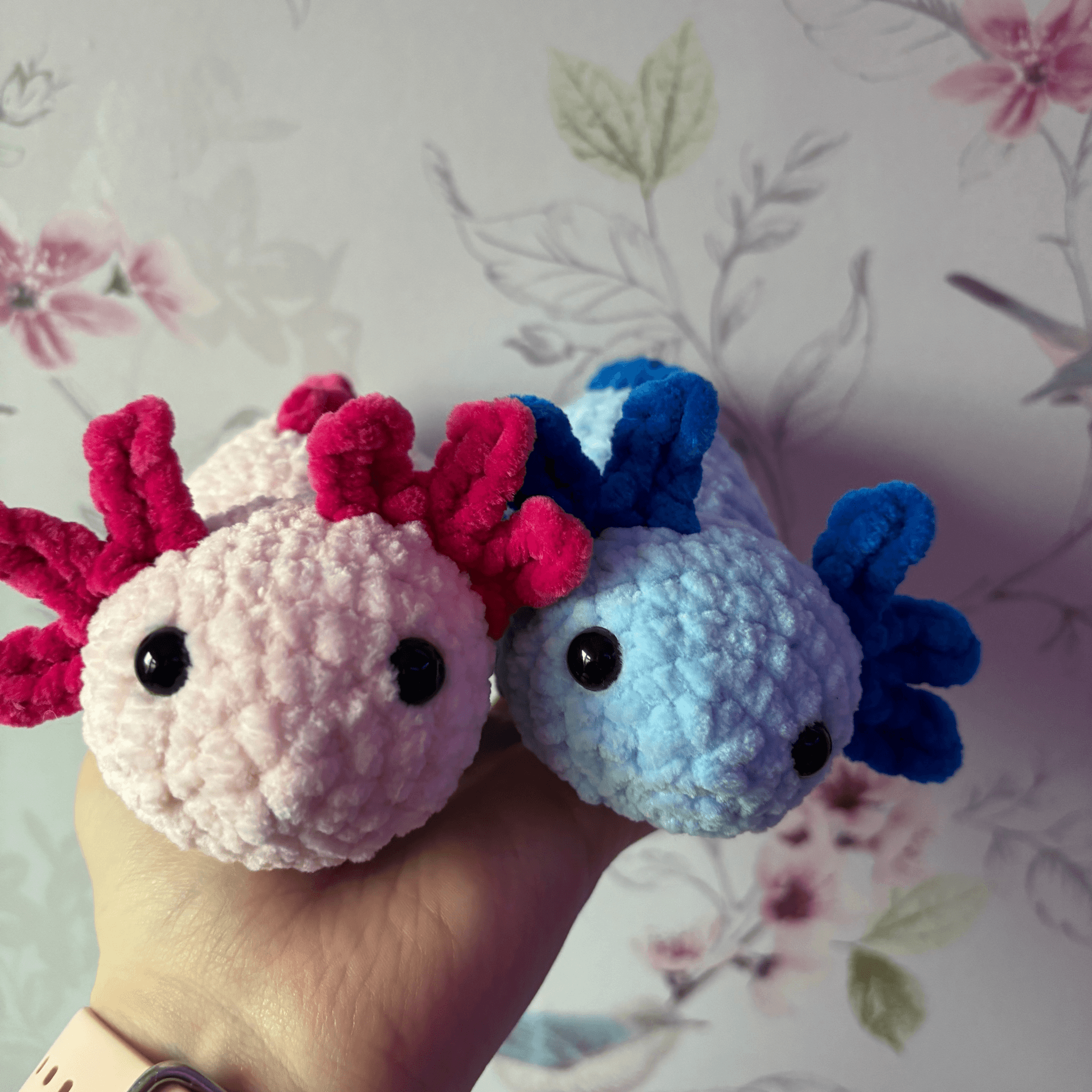 Axolotl image